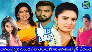 Muddha Mandaram  Episode 1176  30 August 2018  Today Pre Episode Review  Telugu Serial