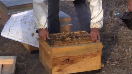 Genç Çiftçilerin Yüzü Devlet Desteğiyle Gülüyor