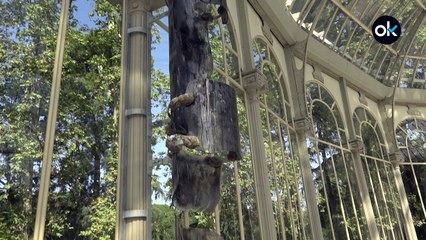 Sofía Urbina: El Palacio de Cristal nos trae a Nairy Baghramian