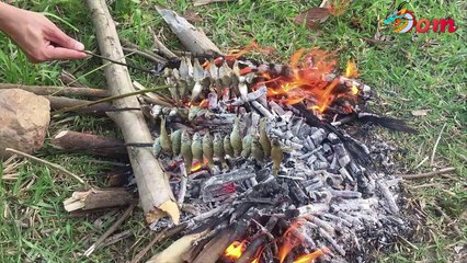 Go out to the field - Catch fish - Grilled fish - Funny