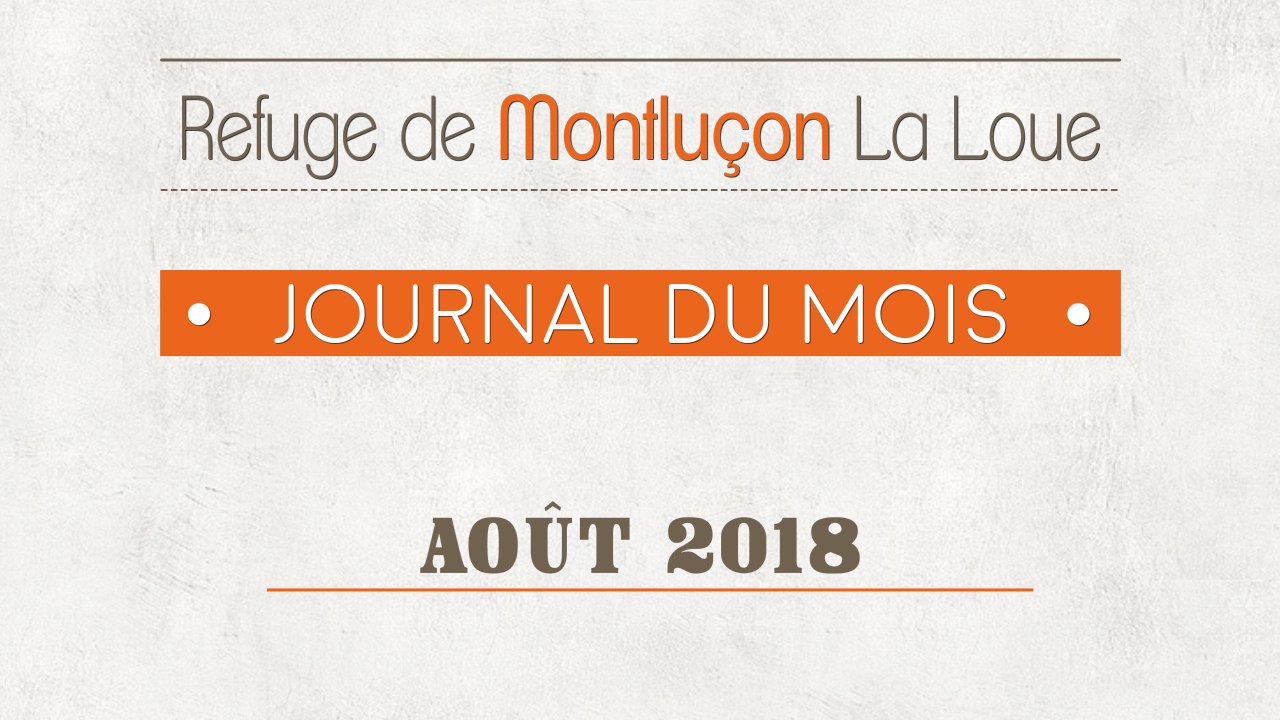 Un mois au refuge SPA : août 2018
