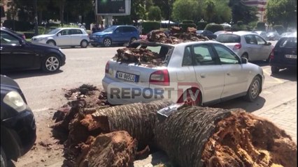 Report TV - Palma zë poshtë Audin në Vlorë