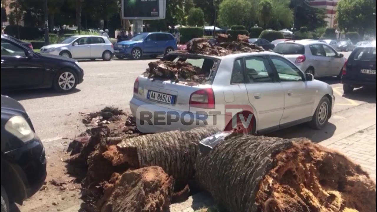 Report TV - Palma zë poshtë Audin në Vlorë