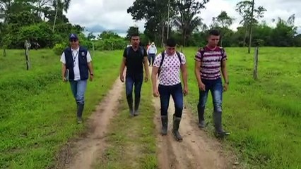 Guerrilha ELN liberta militares na Colômbia