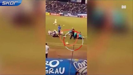 Futbol aşığı köpek Tesapara