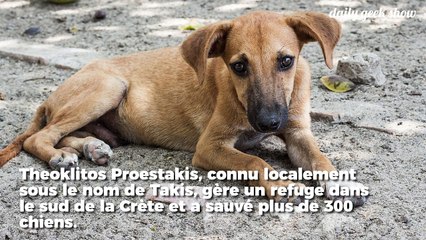 Cet homme a tout quitté pour construire un refuge d'animaux