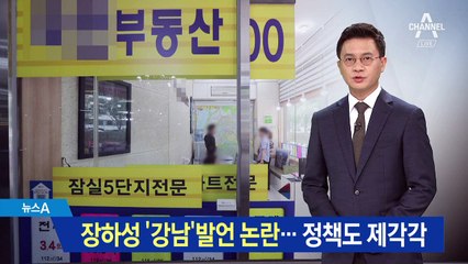 제각각 부동산 정책에…장하성 ‘강남 발언’ 논란
