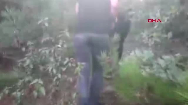 Kütahya'da Ormanlık Alanda 8 Kilo Esrar Maddesi Ele Geçirildi