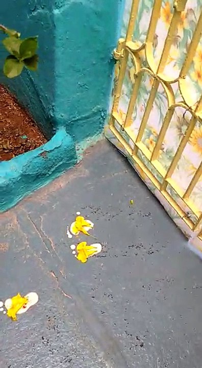 Sree krishna foot marks