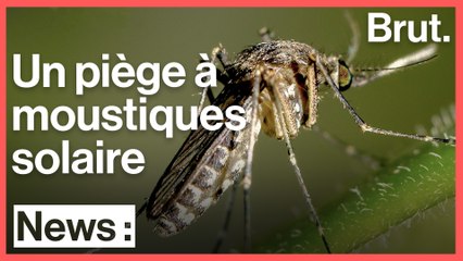 Cet Indien a inventé un piège solaire contre les moustiques