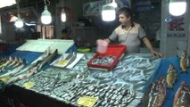 Elazığ'da Balıkçıların Tezgahları Hamsi, İstavrit ve Palamutla Şenlendi