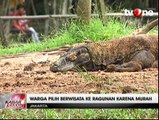 Libur Panjang, Taman Margasatwa Ragunan Ramai Dikunjungi Warga