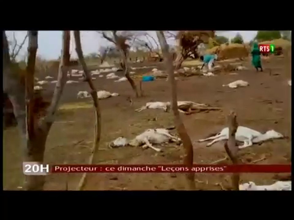 Projecteur : ce dimanche "Leçons apprises"