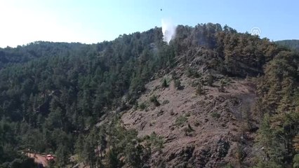 Tavşanlı'daki Orman Yangınına Müdahale Sürüyor