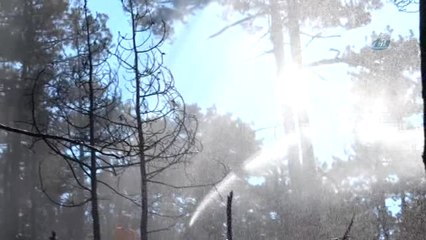 Kütahya'daki Orman Yangını Kontrol Altına Alındı