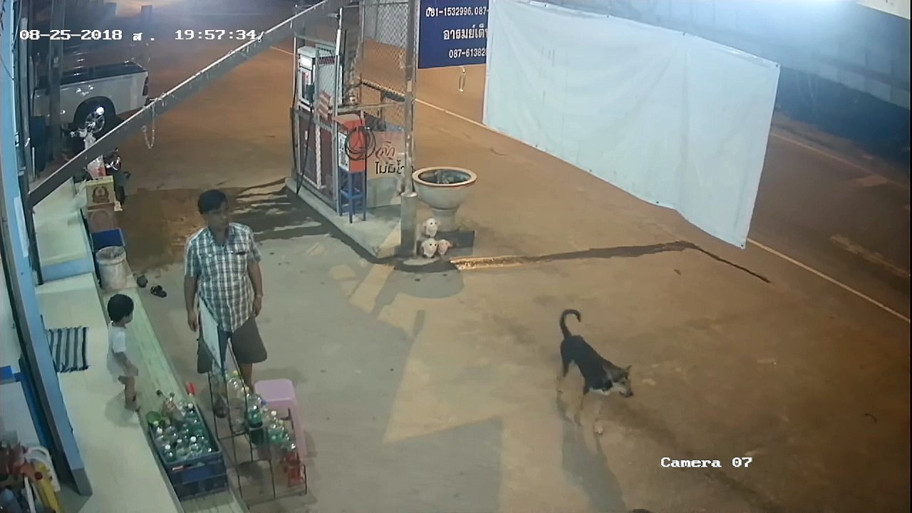 Dad Saves Baby from Head First Fall video Dailymotion