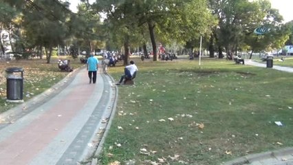 İnegöl'de Başı Boş Köpekler Dehşet Saçtı