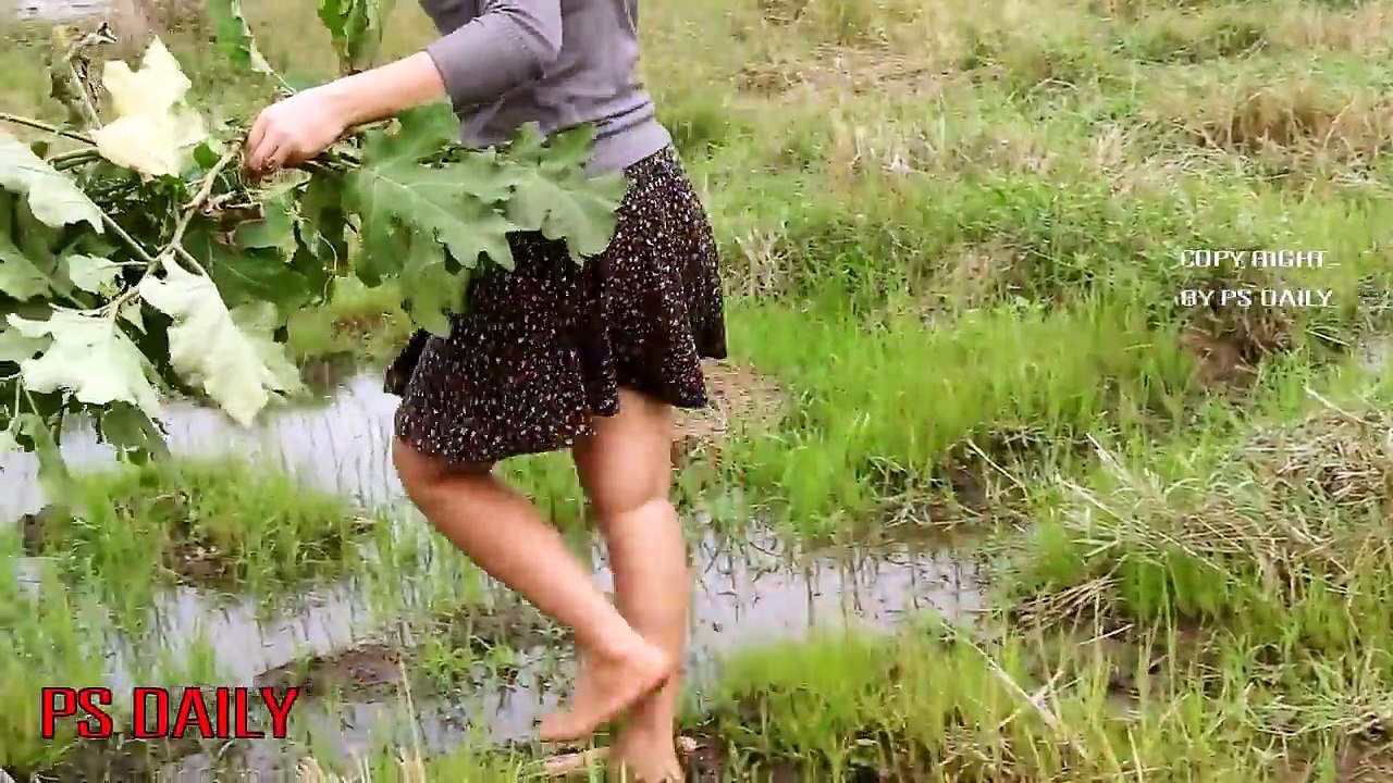 Wow amazing girl make a whole in rice field trapped alot of fishes