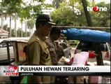 Pemkot Jakarta Pusat Gelar Razia Hewan