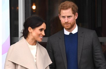 Prince Harry and Meghan Markle name new puppy