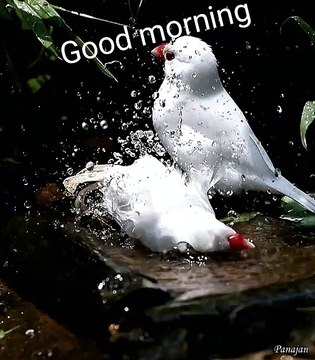 just a good morning from an ATV friend!