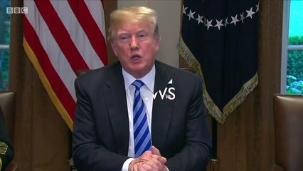 Trump- Immigrant gangs 'animals, not people' - BBC News