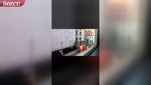 Londra'da BBC binasının önünde bomba paniği