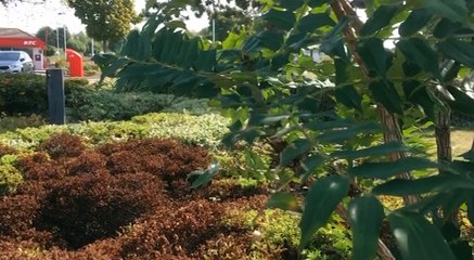 GOODLINES: September 4th 2018