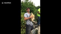 Clue's in the name: Snapping turtle bites man