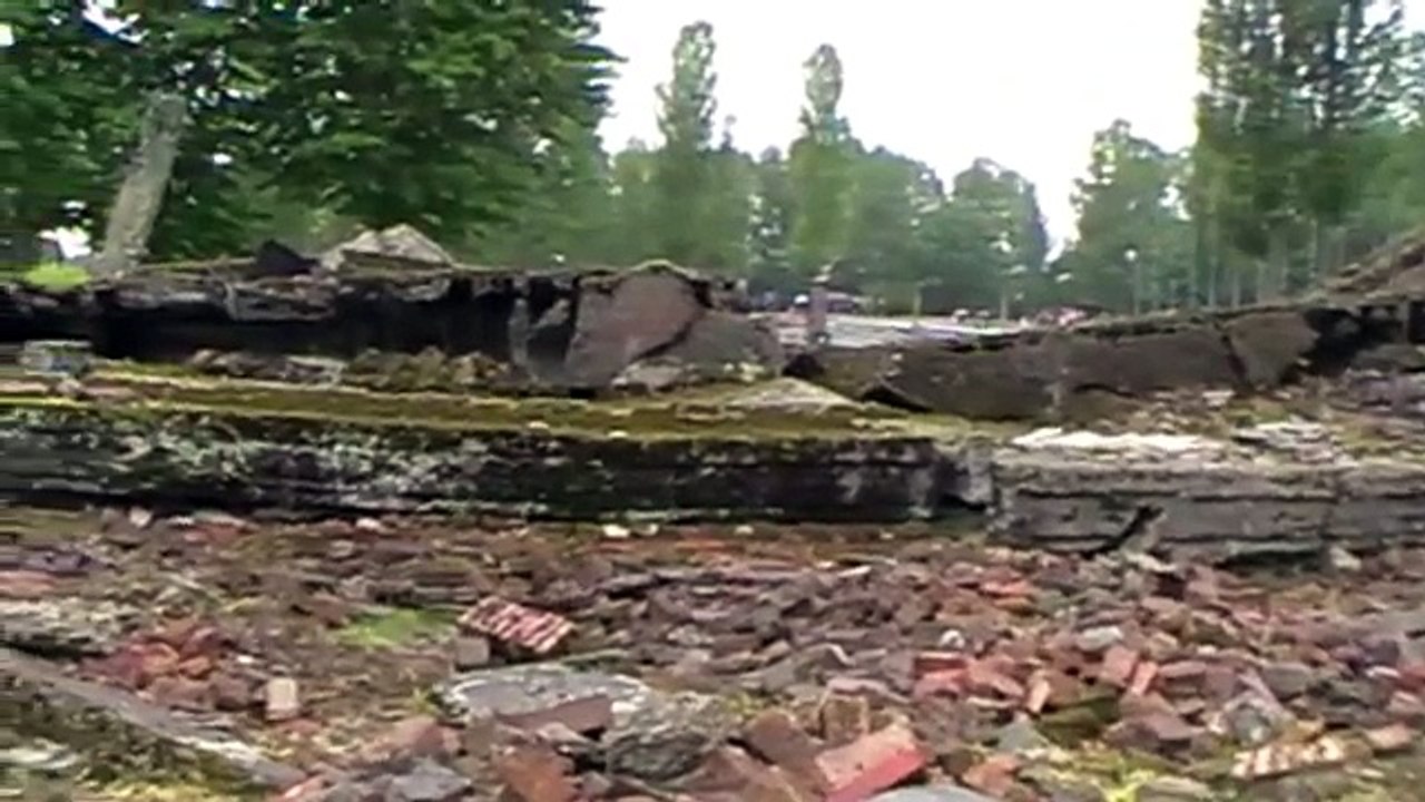 Aux jeunes qui vont à Auschwitz Partie 2