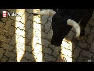 The week ahead: An old tradition, going fast