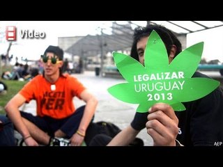 The week ahead: Experimenting with drugs