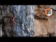 Mar Álvarez Becomes 3rd Woman Ever To Climb Multiple 9a Routes | EpicTV Climbing Daily, Ep. 562