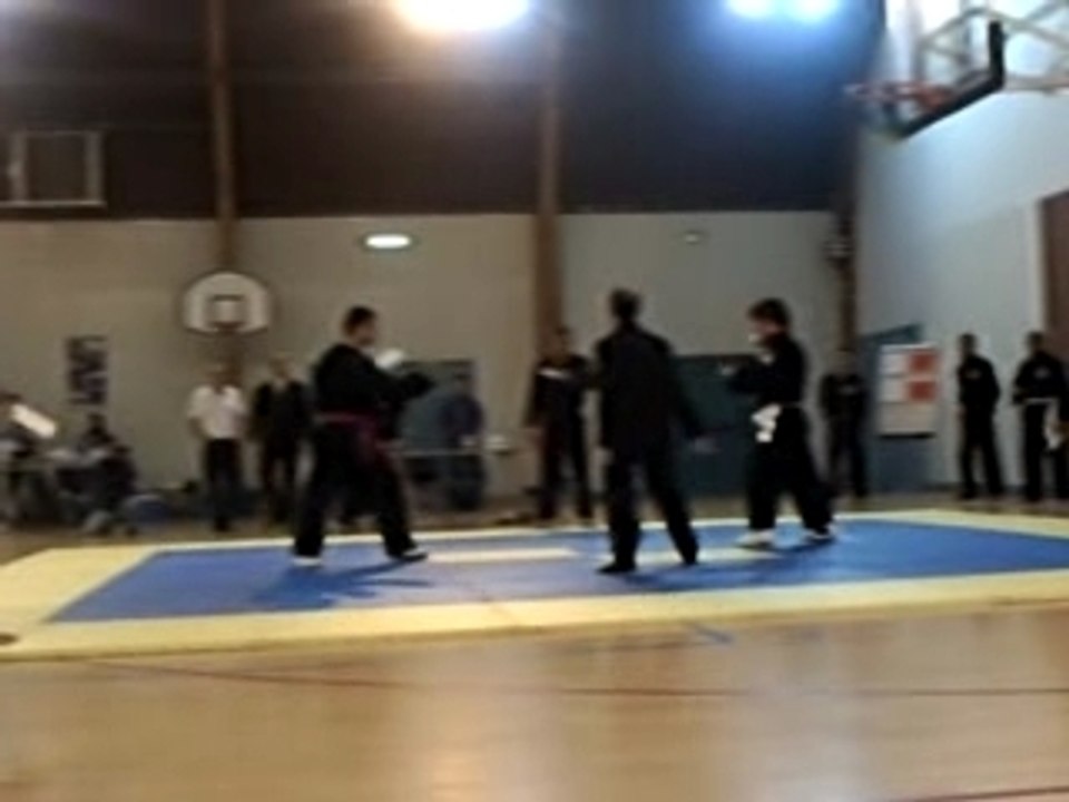 Coup de pied a la tete