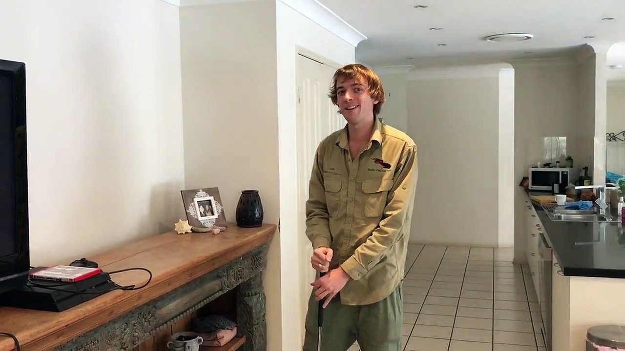 Carpet Python Behind TV