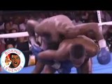 Pernell Whitaker vs Rafael Pineda [1992-07-18]