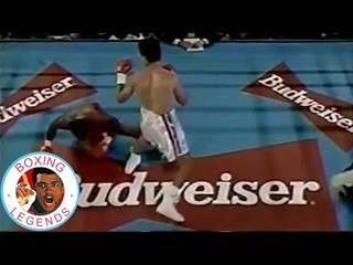 Pernell Whitaker vs Wilfredo Rivera II [1996-09-20]