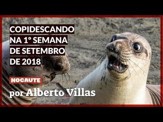 COPIDESCANDO DESCE A CANETA NOS JORNALÕES