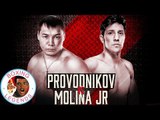 Ruslan Provodnikov vs John Molina Jr (Highlights)