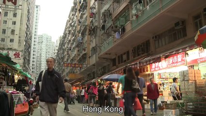 Peanut The Trucker Cat