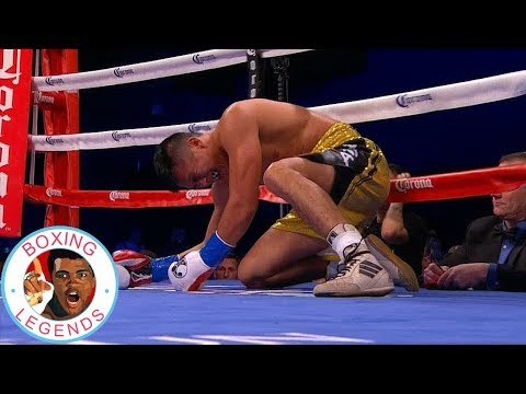 Regis Prograis vs Aaron Herrera (Highlights)