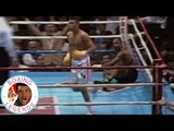 Oscar De La Hoya vs Lamar Williams (Highlights)