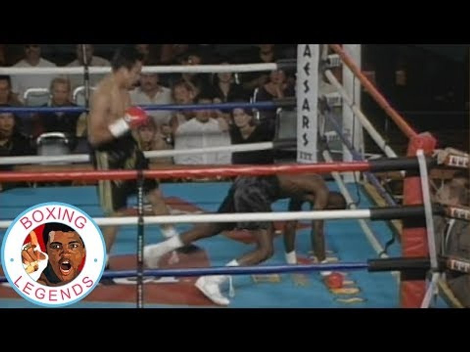 Juan Manuel Marquez vs Vincent Howard (Highlights)