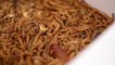 Ernährung der Zukunft: Heute schon Würmer gegessen?