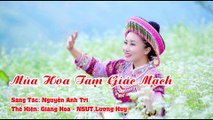 Karaoke Hà Giang Mùa Hoa Tam Giác Mạch Giàng Hoa Ft Lương Huy Full Beat