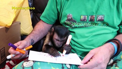 MonkeyBoo FAN MAIL Vlog!