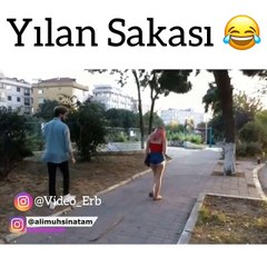 YILAN ŞAKASI