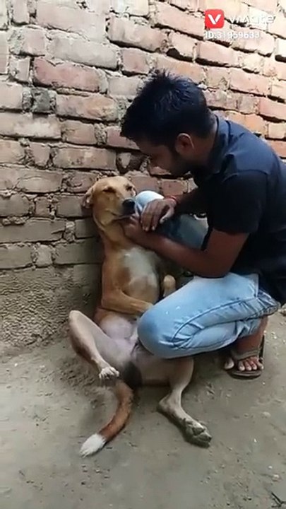 Funny video