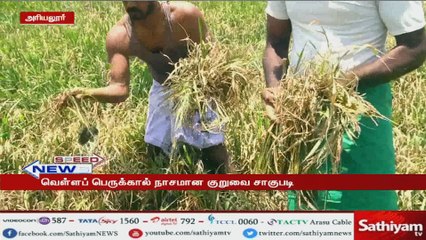 மதிப்பெண் சான்றிதழில் அமிதாப் பச்சன் புகைப்படம் – மாணவர் அதிர்ச்சி