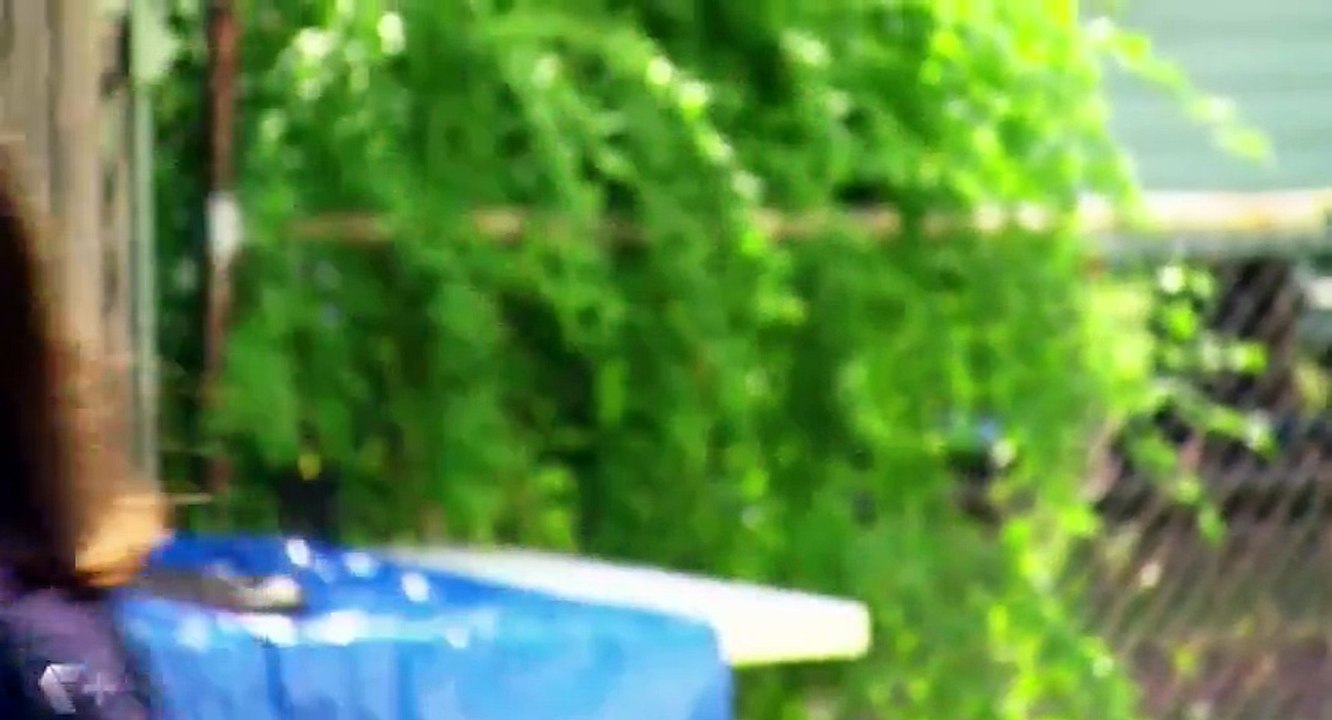 House Rules S04 - Ep13  13 - QLD - Luke & Cody - Part 01 HD Watch